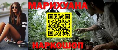 крисы Ливны