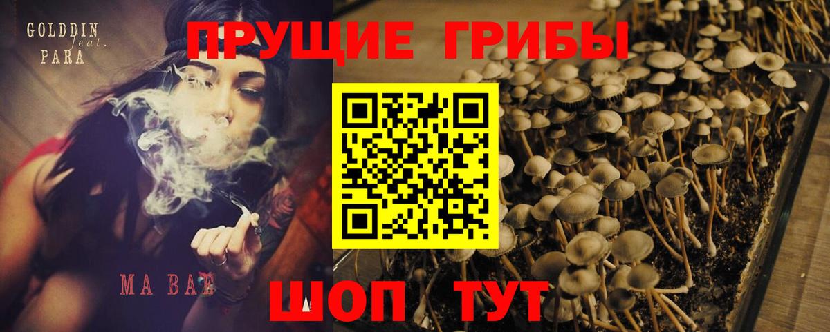 Галлюциногенные грибы мухоморы  Вход с VPN  Тайшет 