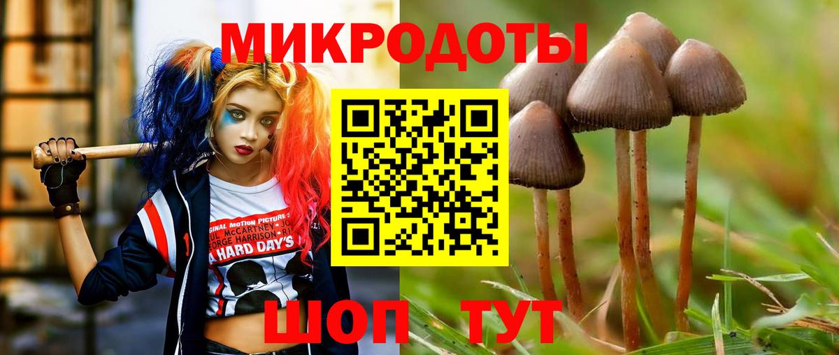 Псилоцибиновые грибы MAGIC MUSHROOMS Тайшет